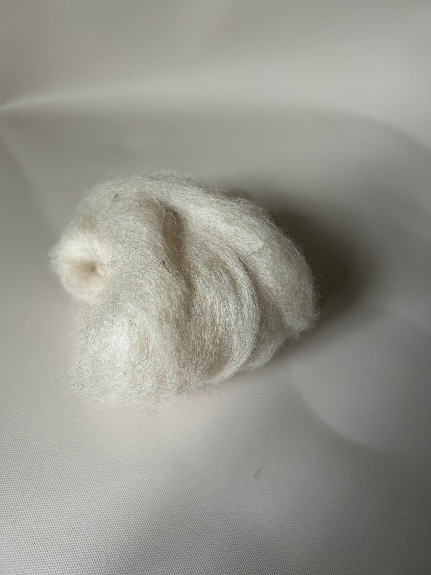 Fibre Arts Shed Green Label Roving White Corriedale 100g
