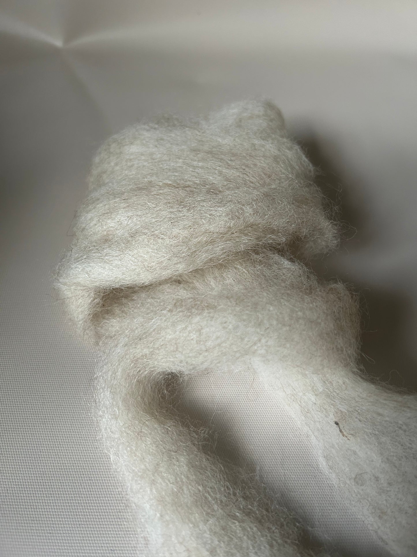 Fibre Arts Shed Green Label Roving White Corriedale 100g